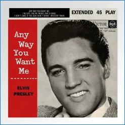 elvis-presley-any-way-you-want-me-vinyle-blanc-casse-afrique-du-sud-vinyle-7--1.jpg