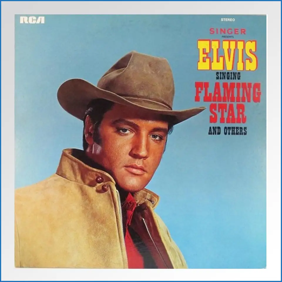 Elvis Presley Singer Presents Elvis Singing Flaming Star And Others LP .jpg