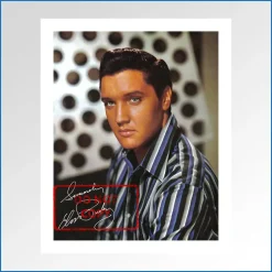Elvis Presley Speedway LP bonus photo front.jpg