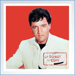 Elvis Presley Spinout LP bonus photo .jpg