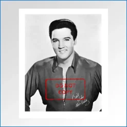 Elvis Presley kissin cousins LP bonus photo .jpg