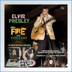 fire on toledo vinyl.jpg