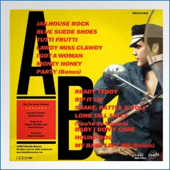 Rocker Revisited back.jpg