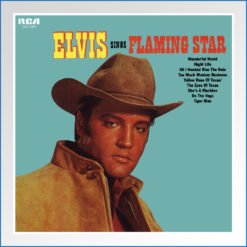 Album Art Poster - elvis sing flaming star.jpg