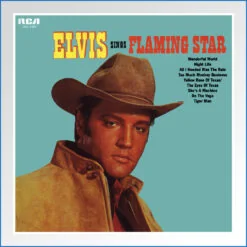 Album Art Poster - elvis sing flaming star.jpg