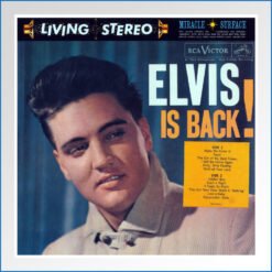 elvis is back.jpg