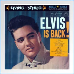 elvis is back.jpg