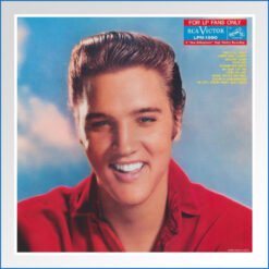 Album Art Poster - for lp fans only.jpg