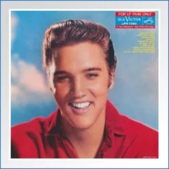 Album Art Poster - for lp fans only.jpg