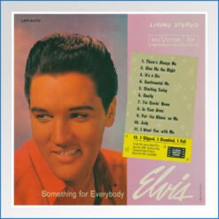 Album Art Poster - something for everybody.jpg