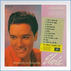 Album Art Poster - something for everybody.jpg