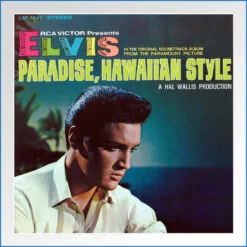 Album Art Poster -paradise hawaiian style.jpg