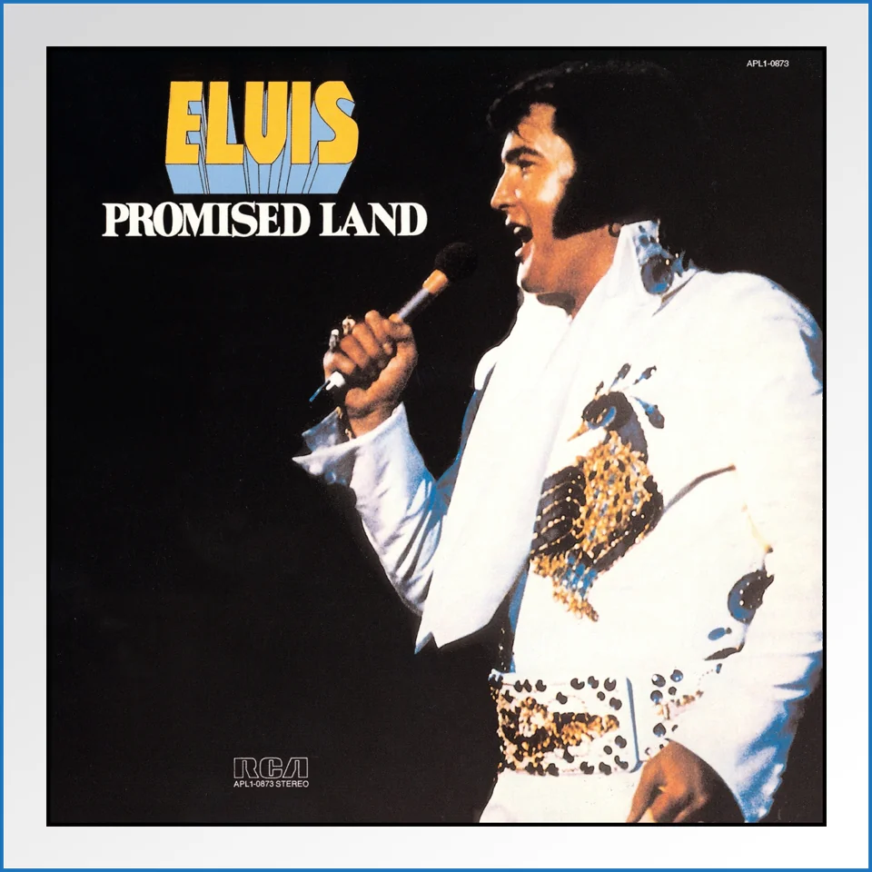 Album Art Poster -promised land.jpg