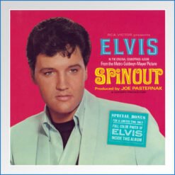 Album Art Poster -spinout.jpg