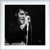 LP Bonusfoto Elvis Back in Memphis.jpg