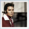 LP Bonusfoto Elvis Where No One Stands Alone.jpg