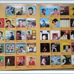 Elvis King Of The 50's RCA 1979 NL-42974 2LP – B-WARE2.jpg