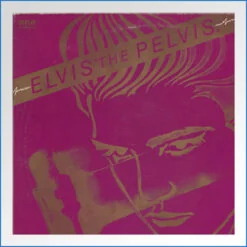 lvis the pelvis lp 1.jpg