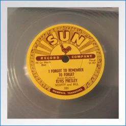 Mystery Train  I Forgot To Remember To Forget 2.jpg