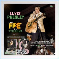 fire on toledo vinyl.jpg