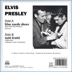 SL002 - ELVIS BLUE SUEDE SHOES - BACK.jpg
