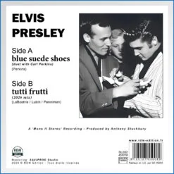 SL002 - ELVIS BLUE SUEDE SHOES - BACK.jpg