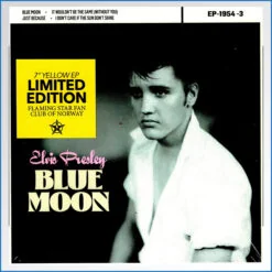 elvis flaming star.jpg