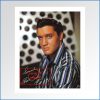 Elvis Presley Speedway LP bonus photo front.jpg