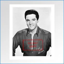 Elvis Presley kissin cousins LP bonus photo .jpg