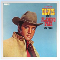 Elvis Presley Singer Presents Elvis Singing Flaming Star And Others LP .jpg
