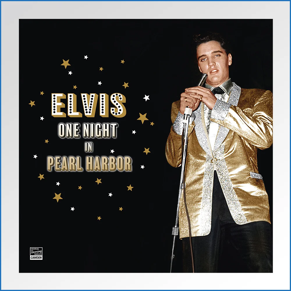 COVER - ONE NIGHT IN PEARL HARBOR.jpg